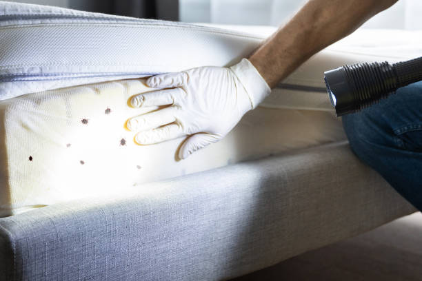 Best Pest Removal Services  in Raoul, GA