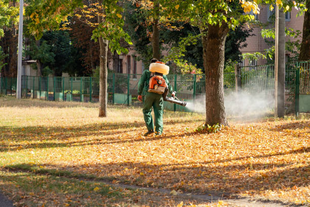 Best Rodent Control Near Me  in Raoul, GA