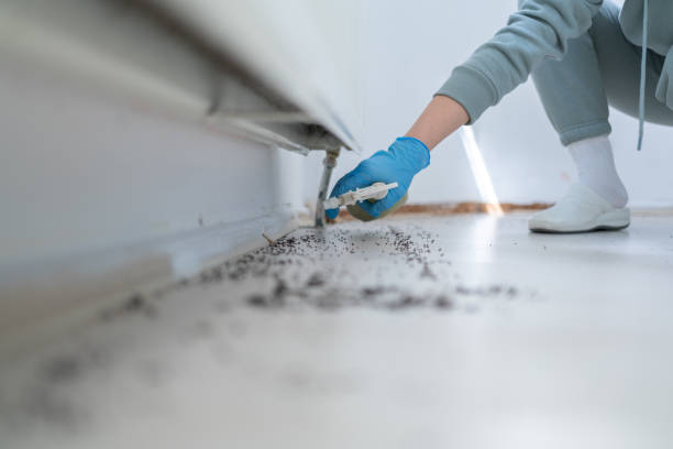 Best Commercial Pest Control Services  in Raoul, GA